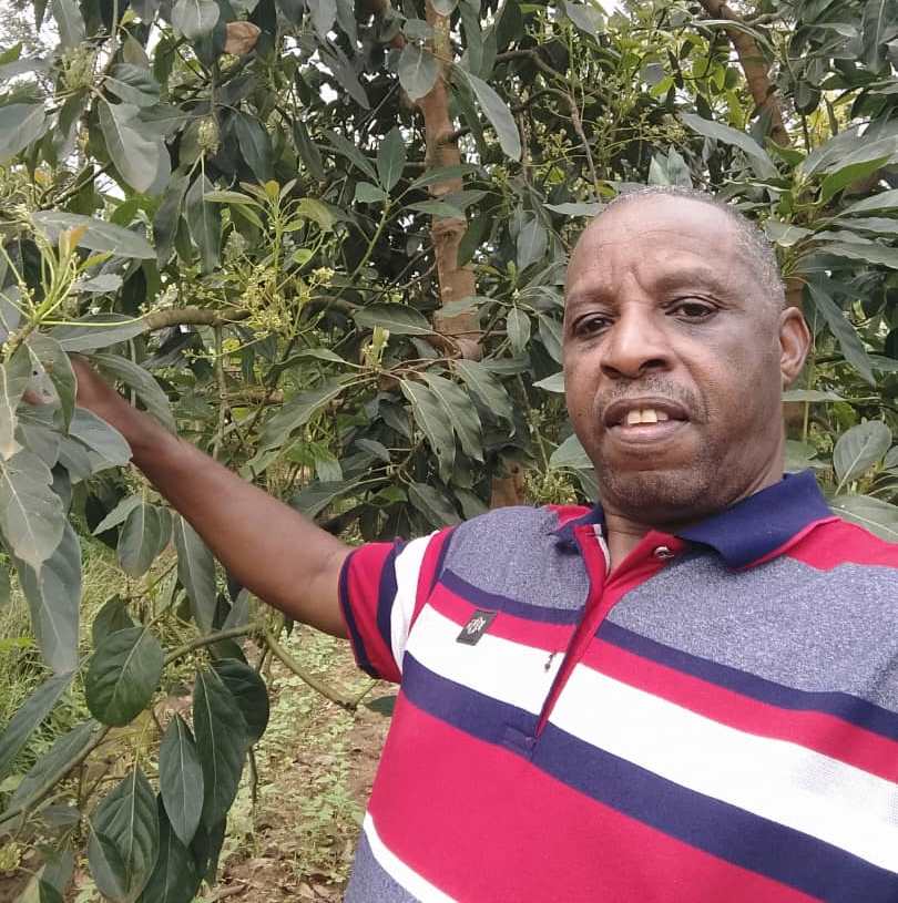 Vegetable Production